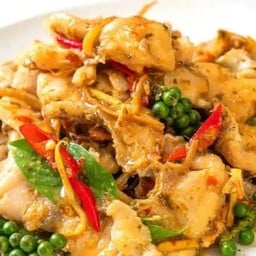 ผัดฉ่าหมู ราดข้าว