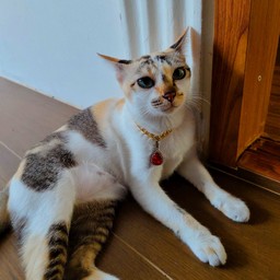 อันนี้เหม่อลอย ไม่สูบก็ลอยได้ตลอด