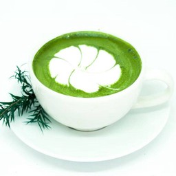 มัทฉะลาเต้ (ร้อน)