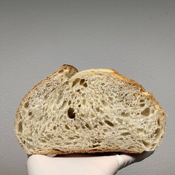 Sourdough Bread