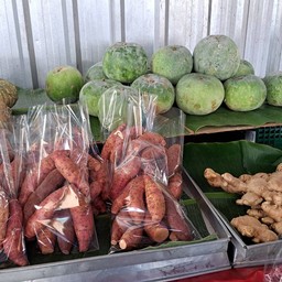 ร้านผัดสดเขาค้อเพชรบูรณ์