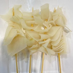 สะใบนาง