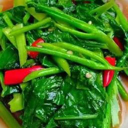 คะน้าไฟแดง