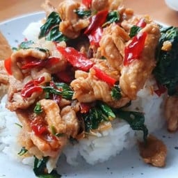 ข้าวราดกระเพราหมูชิ้น