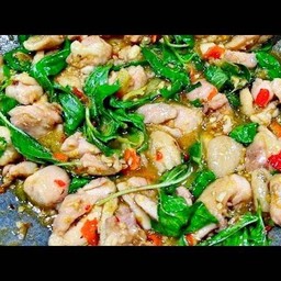 ผัดโหระพา  ราดข้าว