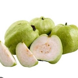 น้ำฝรั่ง Guava