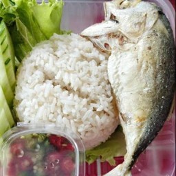 ข้าวปลาทูทอด