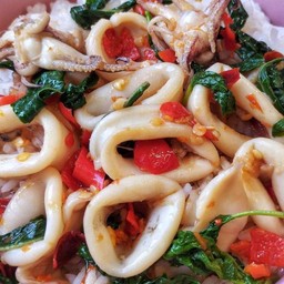 ข้าวกะเพราปลาหมึก