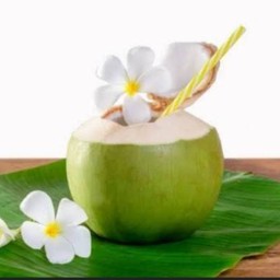 น้ำมะพร้าว Coconut