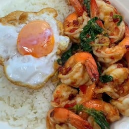 ข้าวราดกระเพรากุ้ง+ไข่ดาว