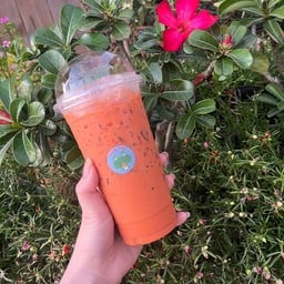 ชาไทย (ชาใต้)