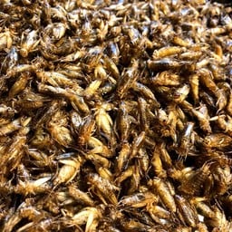 ยำสะดิ้ง