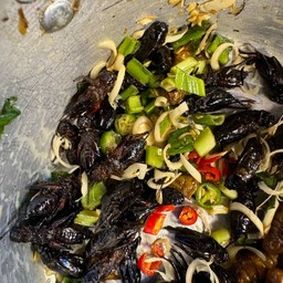 ยำจิ้งหรีด