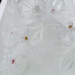 น้ำมะพร้าว ถุงละ