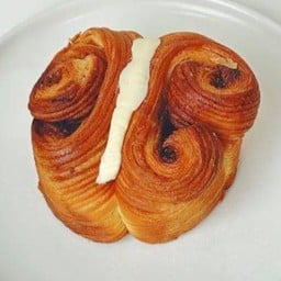 Cinamon Butterfly
