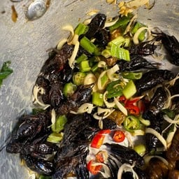 (อร่อยซ่ากับโค้ก)ยำจิ้งหรีด