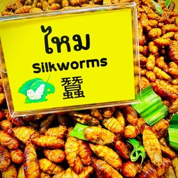 (อร่อยซ่ากับโค้ก)ไหมไทร้องจุใจ