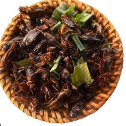 จิ้งหรีดทอดสมุนไพร