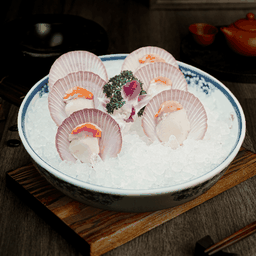 หอยเชลล์