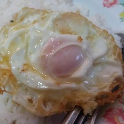 ข้าวไข่ดาว