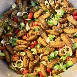 (อร่อยซ่ากับโค้ก)ยำดักแด้