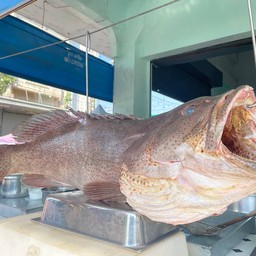 ข้าวต้มปลาเก๋า