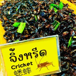 (อร่อยซ่ากับโค้ก)จิ้งหรีดไข่ขาวจุใจ