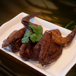 นกพิราบ