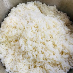 ข้าวมันเปล่า