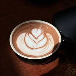 Cocoa