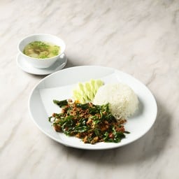 ผัดกระเพรา ราดข้าว