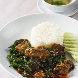 ผัดกะเพราเนื้อออสเตรเลียตุ๋นราดข้าว