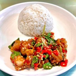 กะเพราหมูกรอบ ราดข้าว