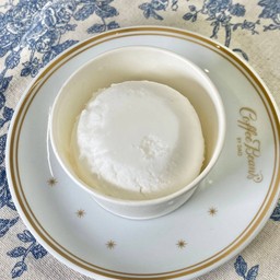 ซอเบท์มะพร้าวอ่อน coconut sorbet