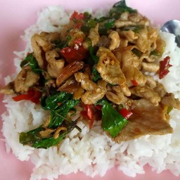 [อร่อยซ่ากับโค้ก] ข้าวราดกะเพราหมูรสจัด + โค้ก ออริจินัล (กระป๋อง)