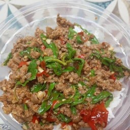 ใบเพรา กะเพราพริกแห้ง บางแวก