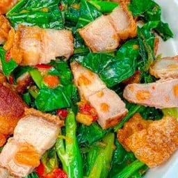 ครัวข้าวก้อง