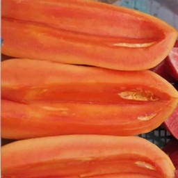 มะละกอ ฮอนแลนด์