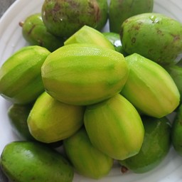 มะกอกสด