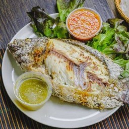 ครัวบีบอส ปลาเผา กุ้งเผา อาหารตามสั่ง ซอยลาดพร้าว 130