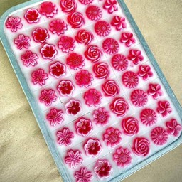 วุ้นแดงกุหลาบ