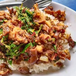 ผัดกระเพราขาหมู ราดข้าว