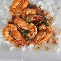 ข้าวราดกระเพรากุ้ง