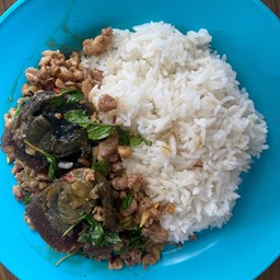 กระเพราหมูสับไข่เยี่ยวม้าราดข้าว