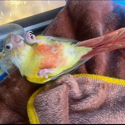 ทริปให้ พี่ Lego