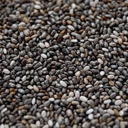 Chia seed