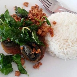 กระเพรากรอบไข่เยี่ยวม้าราดข้าว