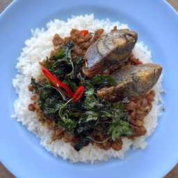 กระเพราไข่เยี่ยวม้า