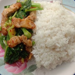 คะน้าหมูกรอบราดข้าว