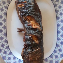 ปลาดุกย่าง